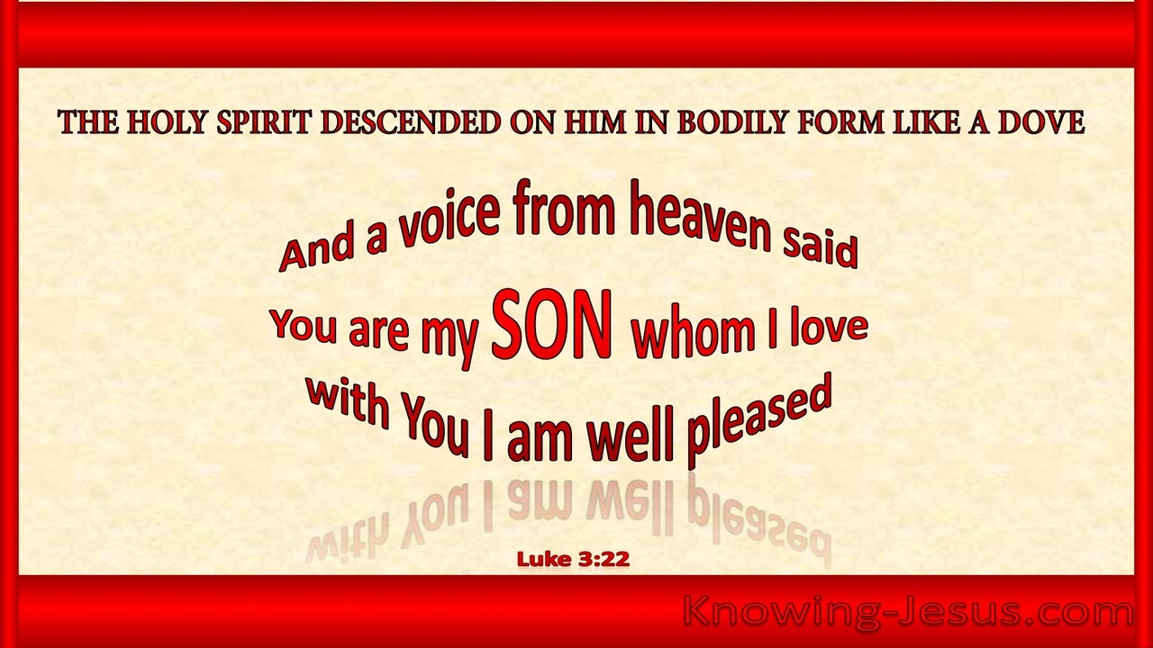 Luke 3:22 You Are My Beloved Son (red)